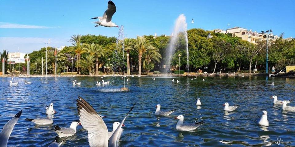 Torrevieja Experience San Julian Apartman Kültér fotó